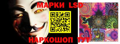 прущие крисы Шахты