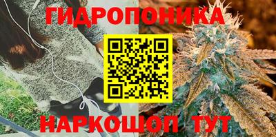 кокаин Шелехов