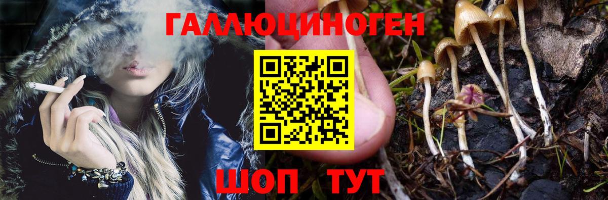 Псилоцибиновые грибы мицелий  Вход с VPN  Новозыбков  Псилоцибиновые грибы мицелий 