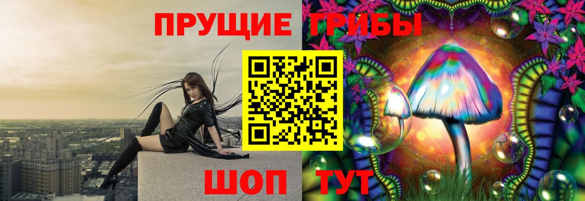 Псилоцибиновые грибы GOLDEN TEACHER Новозыбков